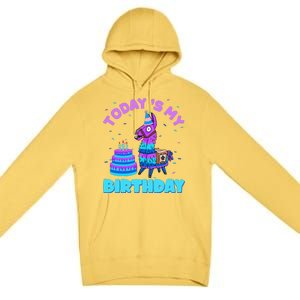 Todays My Birthday Llama Family Party Decorations Premium Pullover Hoodie