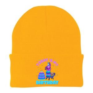 Todays My Birthday Llama Family Party Decorations Knit Cap Winter Beanie