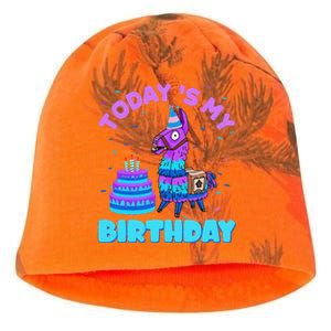 Todays My Birthday Llama Family Party Decorations Kati - Camo Knit Beanie