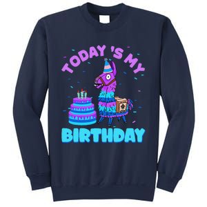 Todays My Birthday Llama Family Party Decorations Sweatshirt