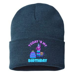 Todays My Birthday Llama Family Party Decorations Sustainable Knit Beanie