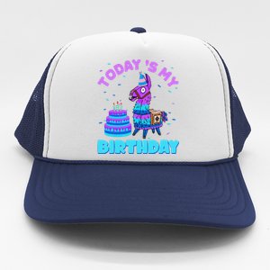 Todays My Birthday Llama Family Party Decorations Trucker Hat