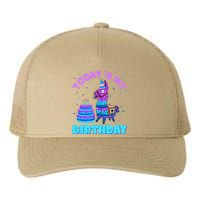 Todays My Birthday Llama Family Party Decorations Yupoong Adult 5-Panel Trucker Hat