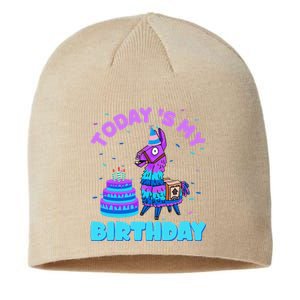 Todays My Birthday Llama Family Party Decorations Sustainable Beanie