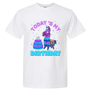 Todays My Birthday Llama Family Party Decorations Garment-Dyed Heavyweight T-Shirt