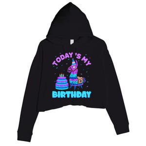 Today's My Birthday Cute Llama Animal Party Crop Fleece Hoodie