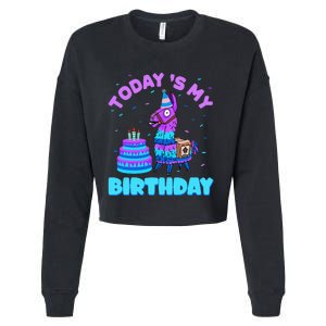 Today's My Birthday Cute Llama Animal Party Cropped Pullover Crew