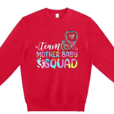 Team Mother Baby Squad Mother Baby Nurse Nursing Mom Premium Crewneck Sweatshirt