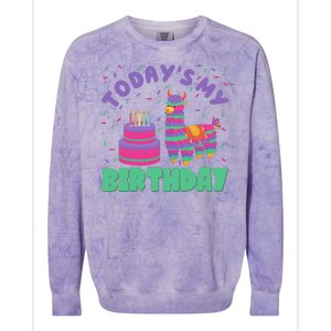 Todays My Birthday Llama Party Colorblast Crewneck Sweatshirt