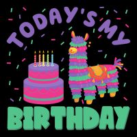 Todays My Birthday Llama Party Zip Tote Bag