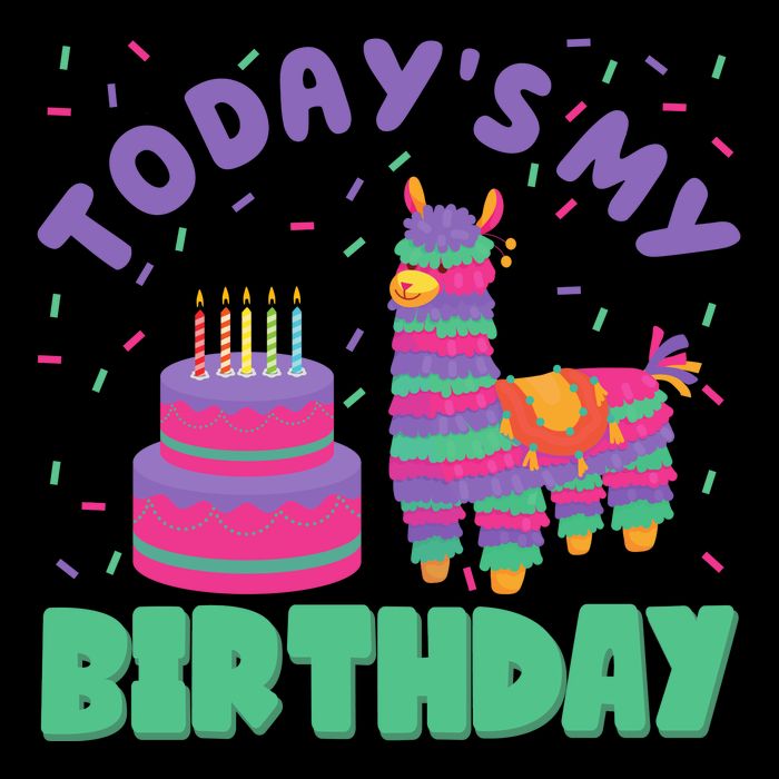 Todays My Birthday Llama Party Zip Tote Bag
