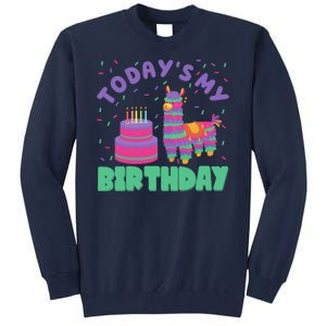 Todays My Birthday Llama Party Tall Sweatshirt