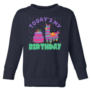 Todays My Birthday Llama Party Toddler Sweatshirt