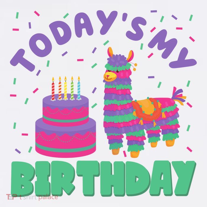 Todays My Birthday Llama Party Cool Comfort Performance Bucket Hat
