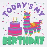 Todays My Birthday Llama Party T-Shirt