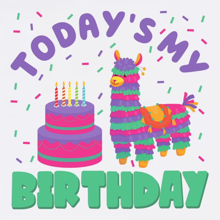 Todays My Birthday Llama Party T-Shirt