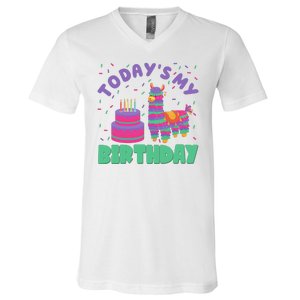 Todays My Birthday Llama Party V-Neck T-Shirt