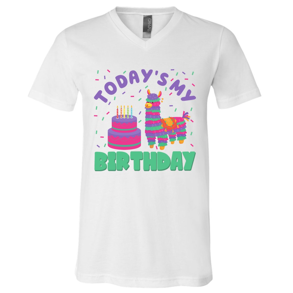 Todays My Birthday Llama Party V-Neck T-Shirt
