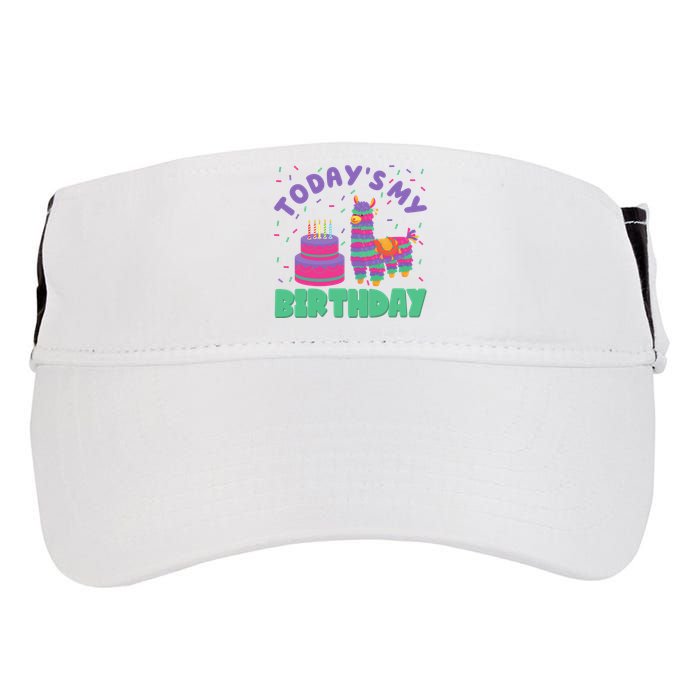 Todays My Birthday Llama Party Adult Drive Performance Visor