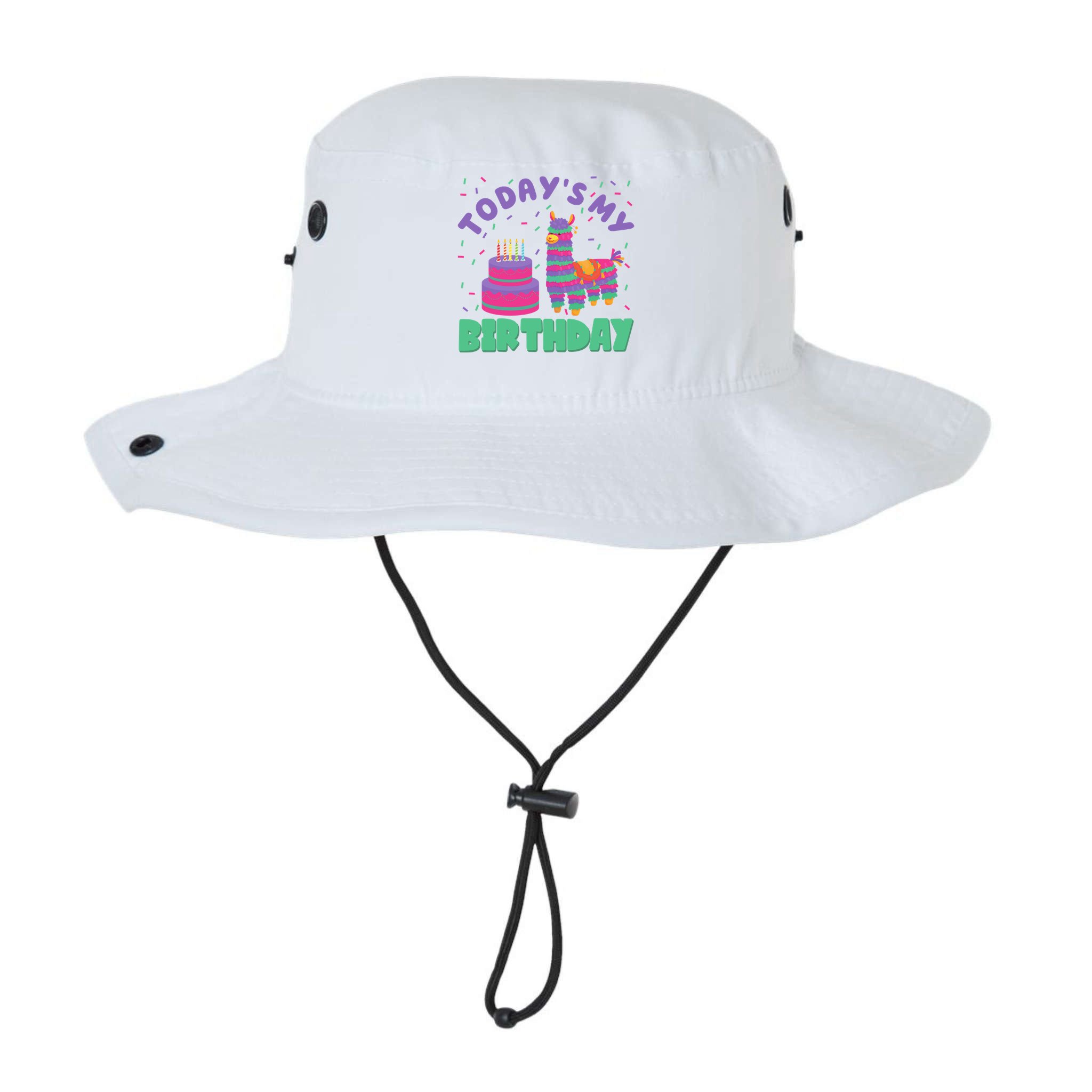 Todays My Birthday Llama Party Bucket Hat