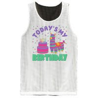 Todays My Birthday Llama Party Mesh Reversible Basketball Jersey Tank