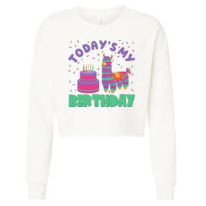 Todays My Birthday Llama Party Cropped Pullover Crew