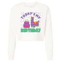 Todays My Birthday Llama Party Cropped Pullover Crew