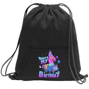 Todays My Birthday Llama Birthday Boy K.Ids Llama Decor Gift Sweatshirt Cinch Pack Bag