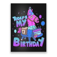 Todays My Birthday Llama Birthday Boy K.Ids Llama Decor Gift Poster