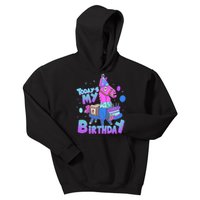 Todays My Birthday Llama Birthday Boy K.Ids Llama Decor Gift Kids Hoodie