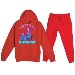 Todays My Birthday Llama Boy Family Party Decorations Premium Hooded Sweatsuit Set