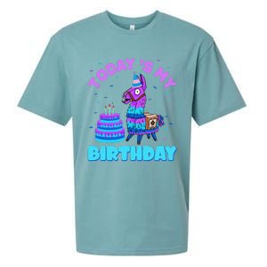 Todays My Birthday Llama Boy Family Party Decorations Sueded Cloud Jersey T-Shirt