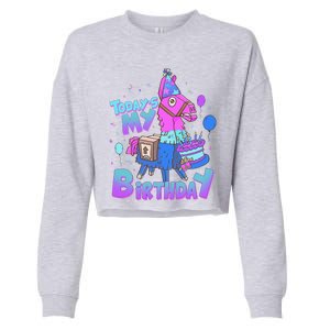 Todays My Birthday Llama Birthday Llama Decor Cropped Pullover Crew