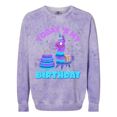 Todays My Birthday Llama Birthday Party Decorations Colorblast Crewneck Sweatshirt