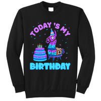 Todays My Birthday Llama Birthday Party Decorations Sweatshirt