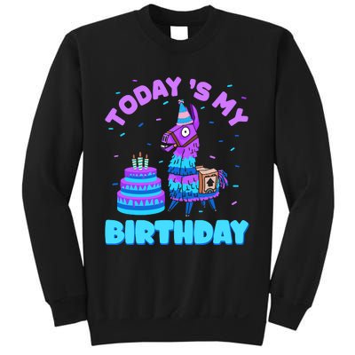 Todays My Birthday Llama Birthday Party Decorations Sweatshirt