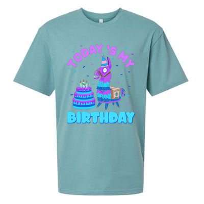 Todays My Birthday Llama Birthday Party Decorations Sueded Cloud Jersey T-Shirt