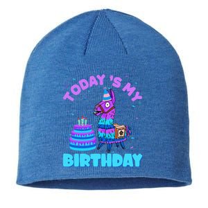 Todays My Birthday Llama Family Party Decorations Sustainable Beanie