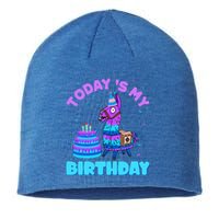 Todays My Birthday Llama Family Party Decorations Sustainable Beanie