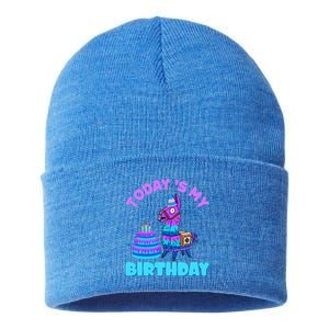 Todays My Birthday Llama Family Party Decorations Sustainable Knit Beanie