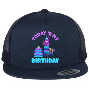 Todays My Birthday Llama Family Party Decorations Flat Bill Trucker Hat