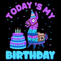 Todays My Birthday Llama Birthday Party Decorations Boy Impact Tech Backpack