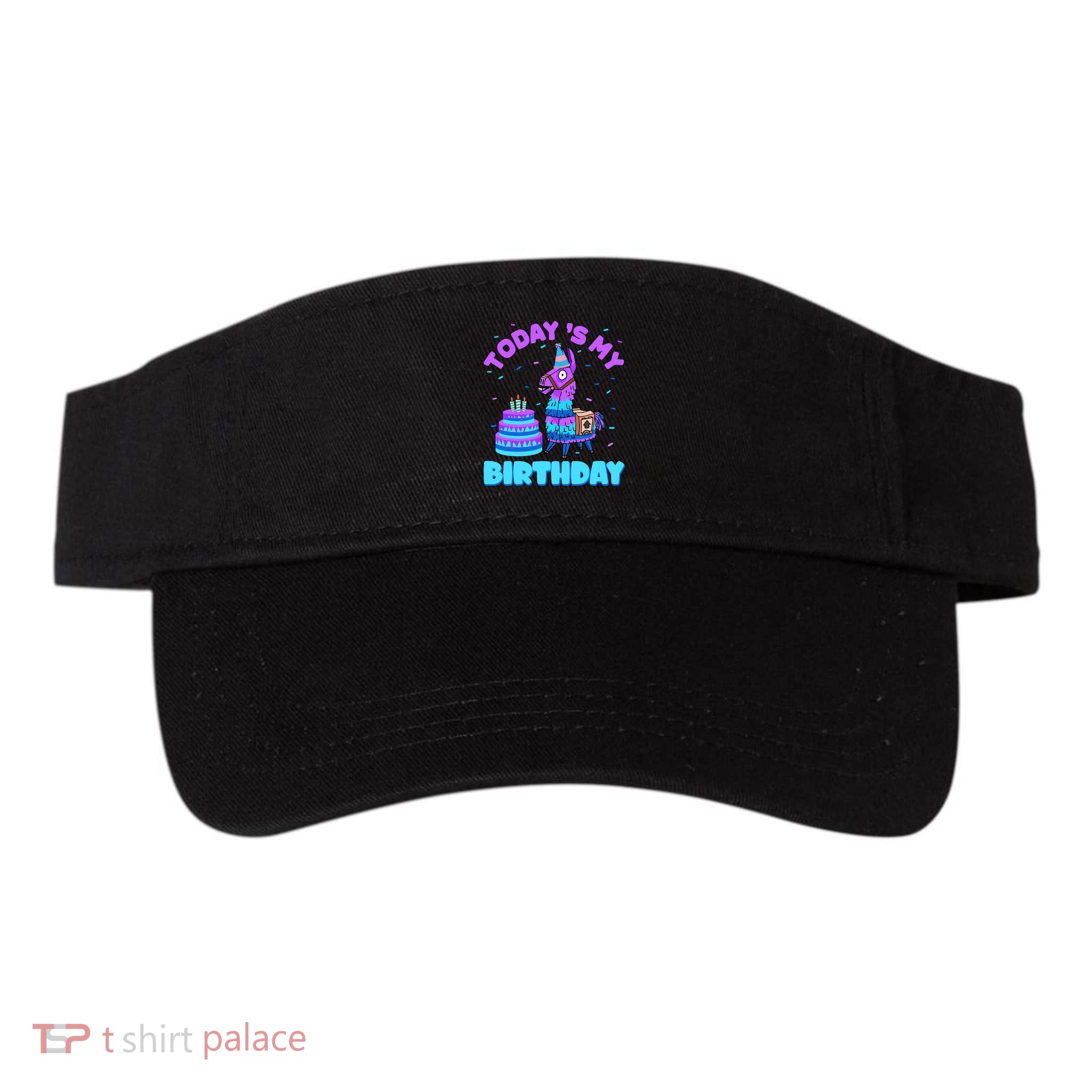 Todays My Birthday Llama Birthday Party Decorations Boy Visor