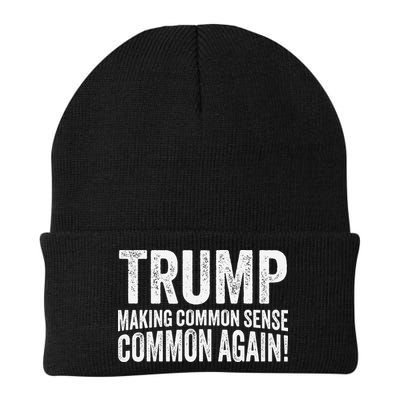 Trump Making Common Sense Common Again Beanie