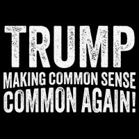 Trump Making Common Sense Common Again Mesh Reversible Basketball Jersey Tank