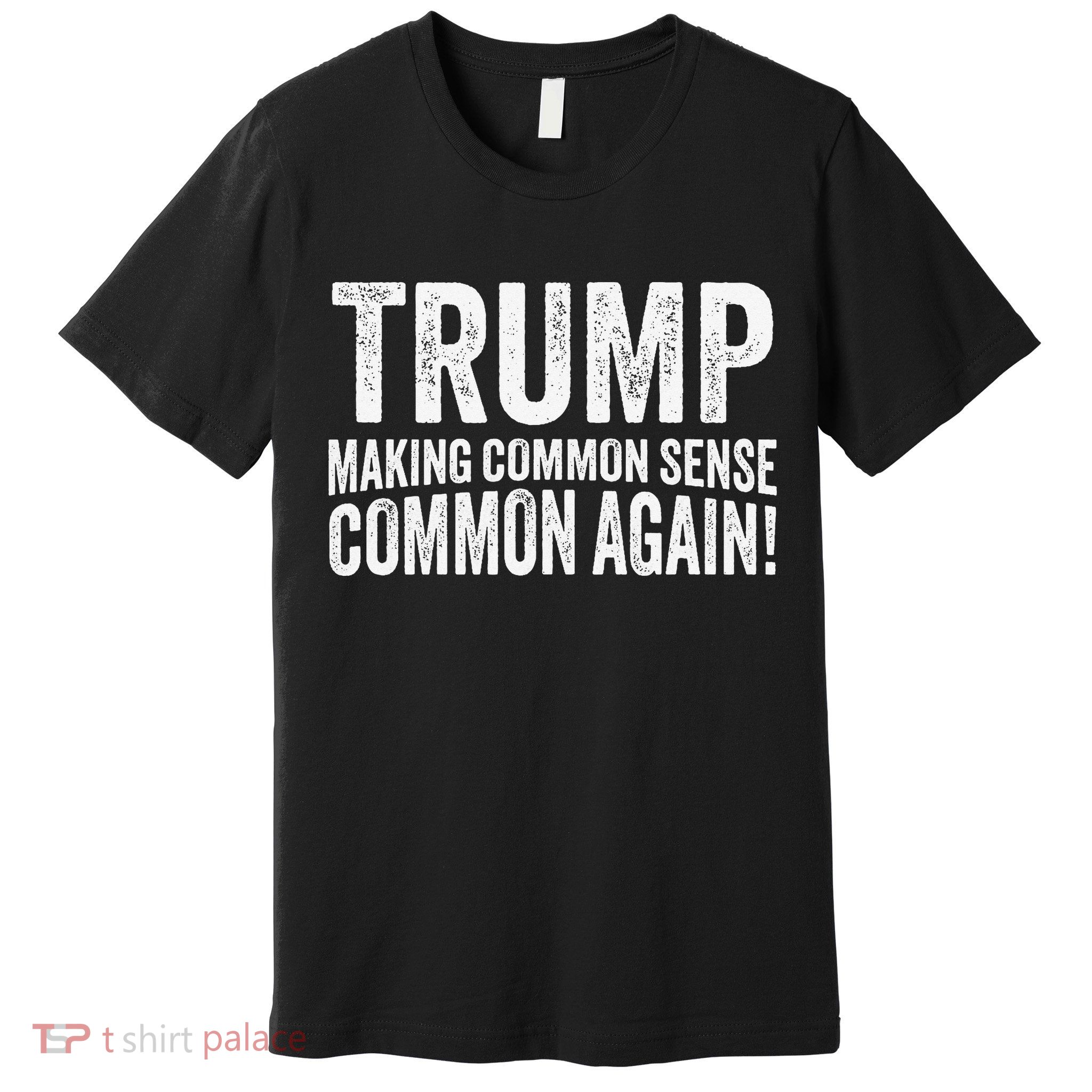 Trump Making Common Sense Common Again Premium T-Shirt