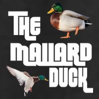 The Mallard Duck Adult Drive Performance Visor