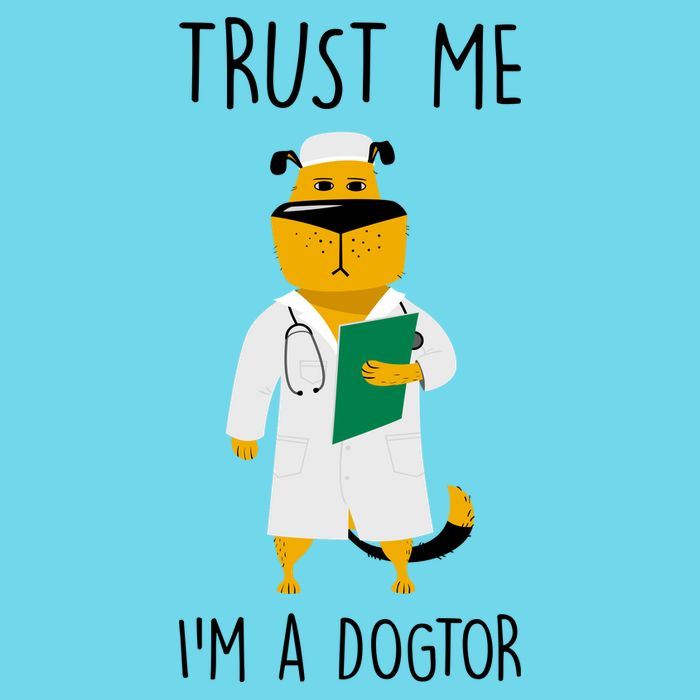 Trust Me IM A Dogtor Womens T-Shirt