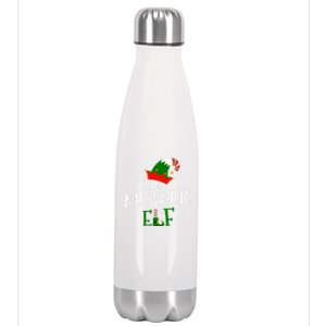 The Mother Elf Family Matching Group Gift Christmas Costume Gift Stainless Steel Insulated Water Bottle