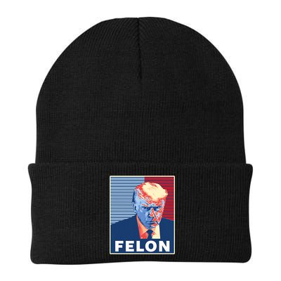 Trump Mugshot First American President Felon Beanie